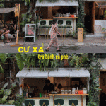 cu-xa-1