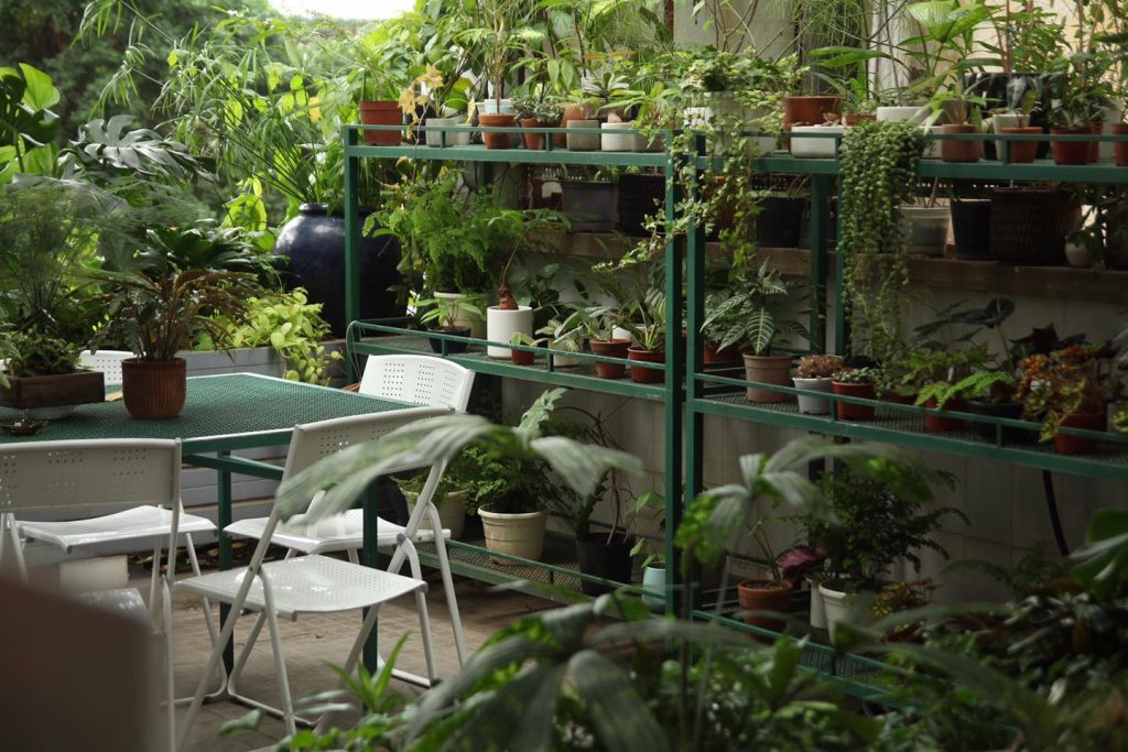 Tiệm Cây Người Làm Vườn là quán cà phê cây xanh với độ phong phú thực vật khá cao