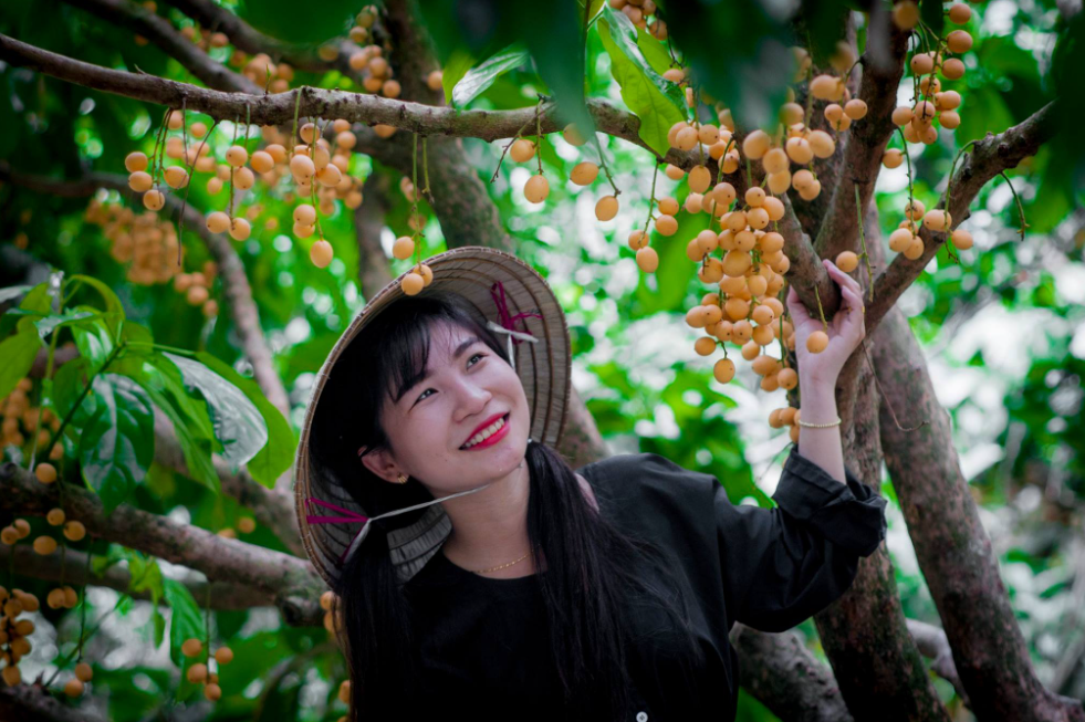  vườn trái cây gần Sài Gòn 