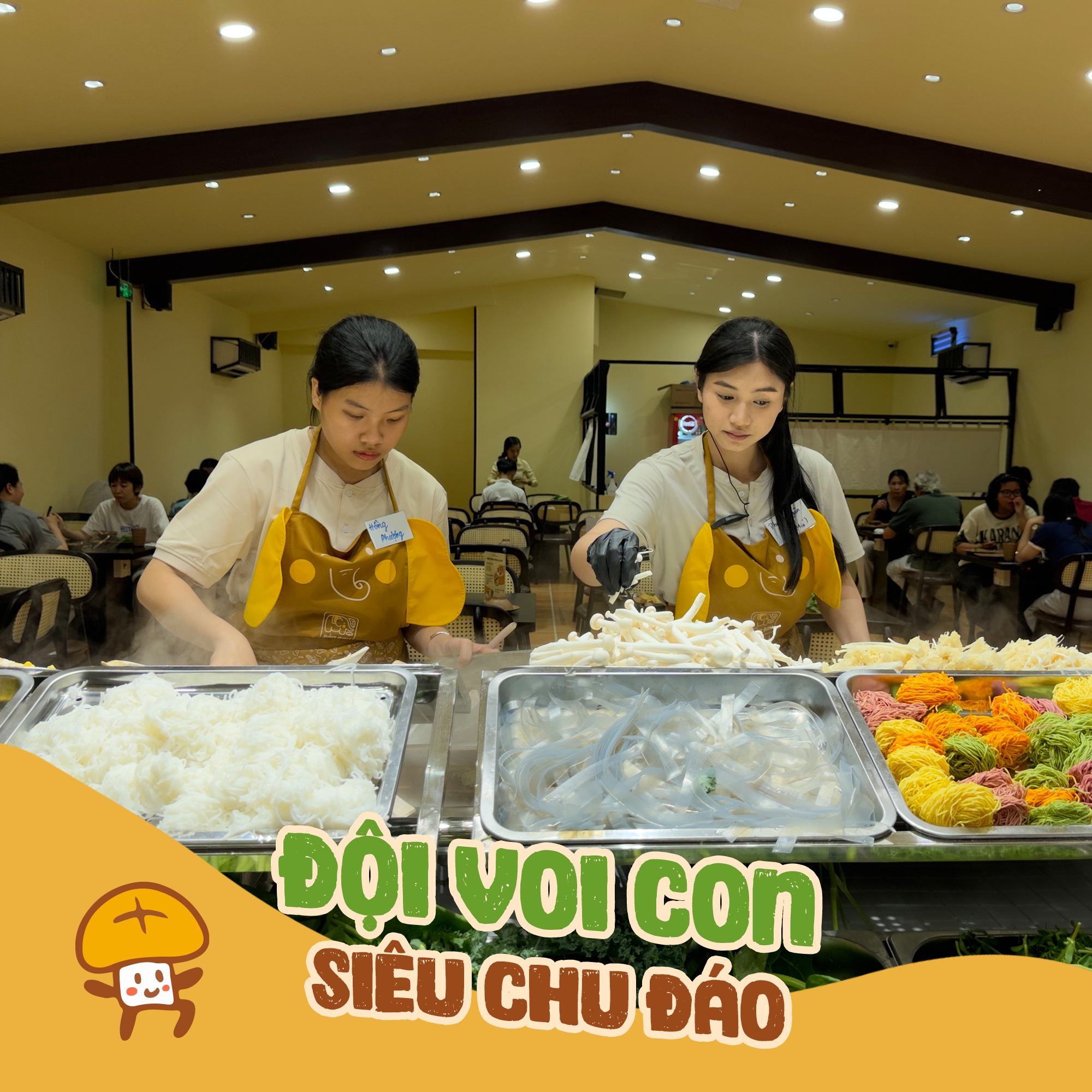  Bản Rau Buffet Lẩu Rau Nấm 